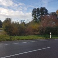 Letzten Herbst zum Vergleich