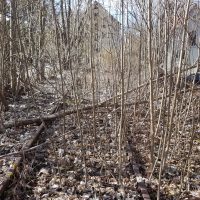 Die Obere Schellenmühle vorher...